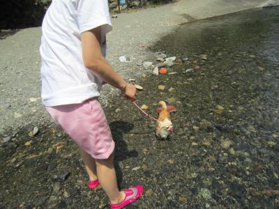 IMG_4335_convert_20120813132939.jpg