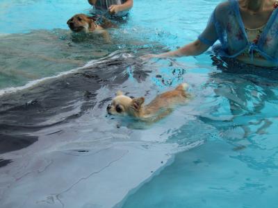 IMG_4674_convert_20120909144537.jpg