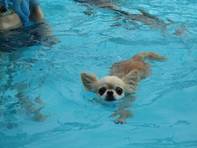 IMG_4676_convert_20120909144620.jpg
