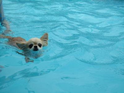 IMG_4681_convert_20120909144744.jpg