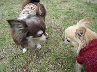 IMG_4757_convert_20121031151814.jpg