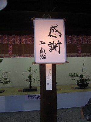 IMG_1016.jpg