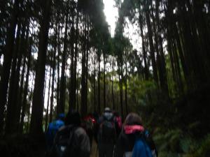 DSCN1436_convert_20121112141515.jpg