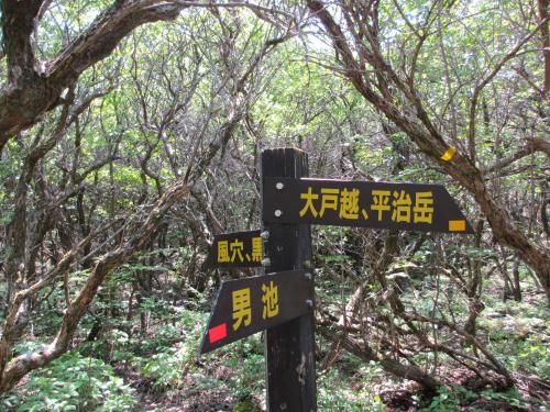 案内板