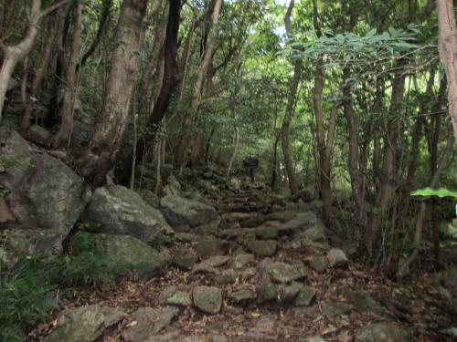 IMG_2010_convert_20120710141935.jpg