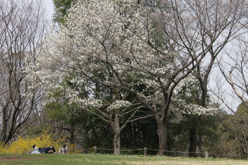 IMG_2090.jpg