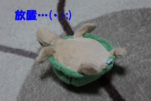 IMG_2376_20130414120119.jpg