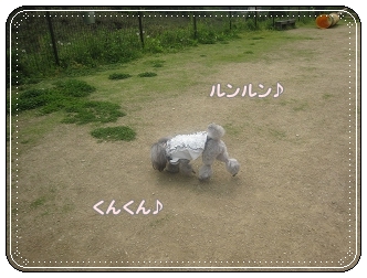 1IMG_5500.jpg
