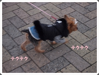 1PC234320.jpg