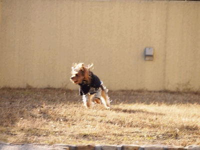 anigif_20130108181141.gif