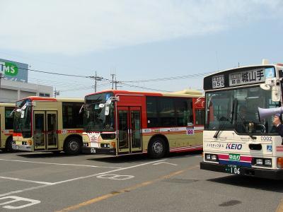 DSC00442.jpg