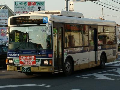 DSC09121.jpg