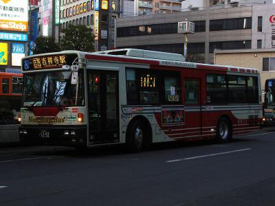 DSC09232.jpg