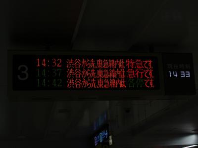 DSC09619.jpg