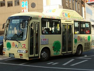 DSC09809-m.jpg