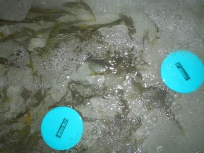20141013135718e16.jpg