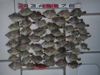 201411031712250ce.jpg