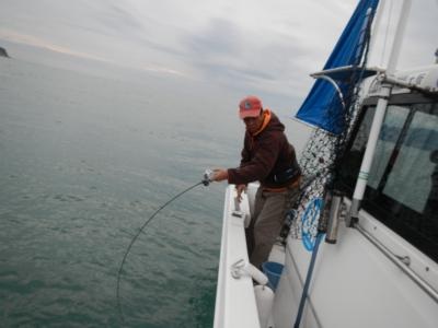 201411170745120d3.jpg