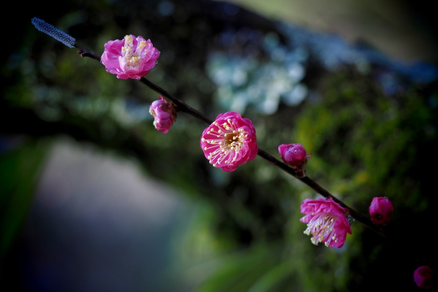 2014020202.jpg