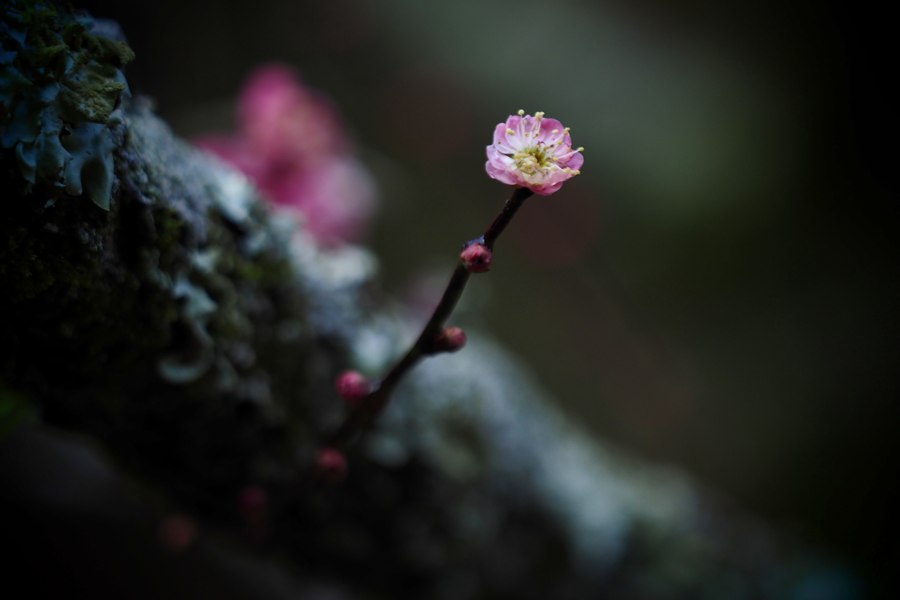 2014020403.jpg