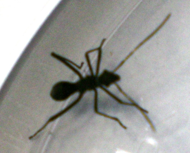 DSCN3243.jpg