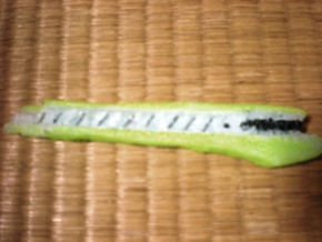 DSCN3252.jpg