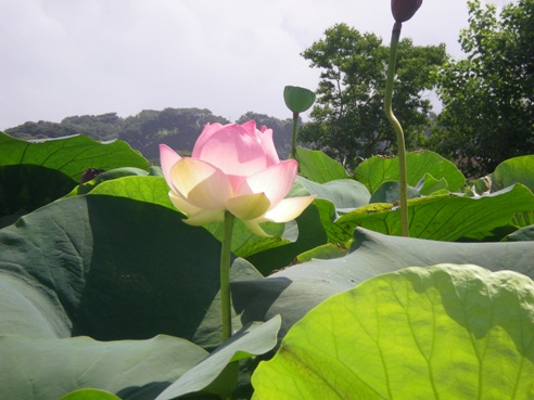 DSCN3276.jpg