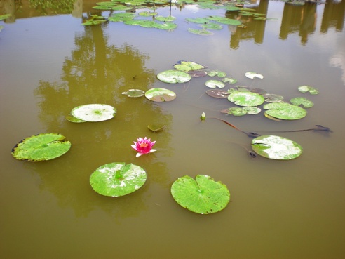 DSCN3295.jpg