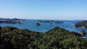 20141015_095358.jpg