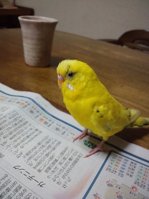 なに読んでるの?