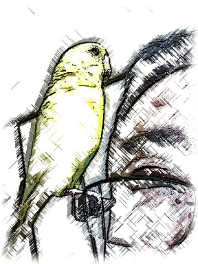ももの絵1