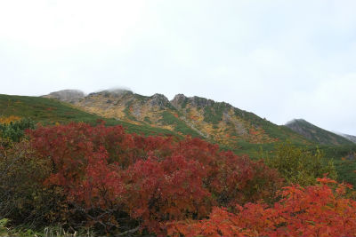 紅葉の御嶽山