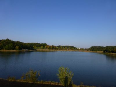 sP1030115.jpg