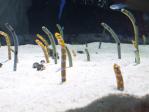 120524_1446341.jpg