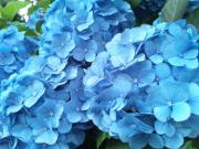 120625_161710.jpg