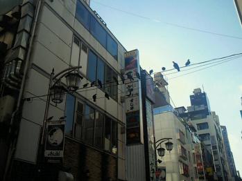 はと