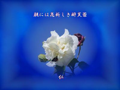 w12p101301asitanihahanaatarasikisuifuyo1w.jpg