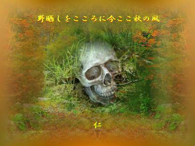 野晒しをこころに今ここ秋の風