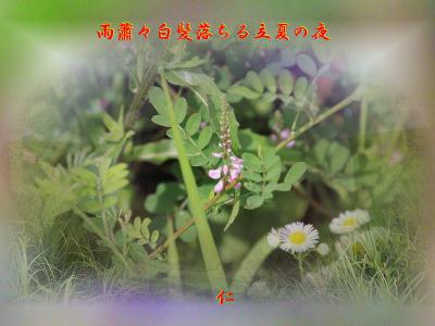 雨蕭々白髪落ちる立夏の夜