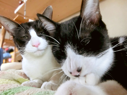 眠いのに、撮影に付き合ってくれるあじゅじゅじゅじゅぅ