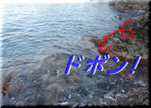 磯