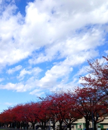 blog 141104