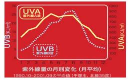 A波