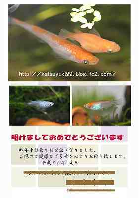 ねんが1
