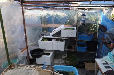 DSCF2577.jpg
