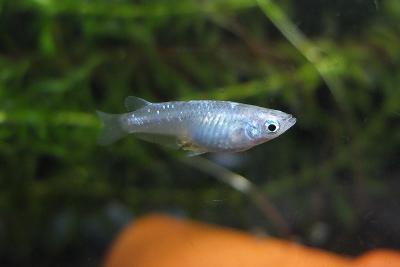 DSCF2776.jpg