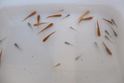 DSCF2812.jpg