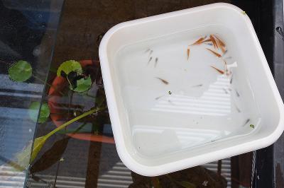 DSCF2814.jpg