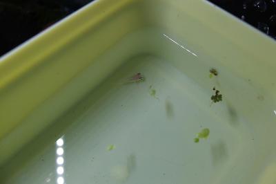 DSCF2893.jpg