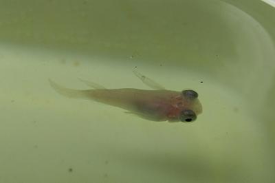 DSCF2899.jpg